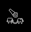 11 favicon